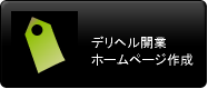 デリヘル開業　ホームページ作成